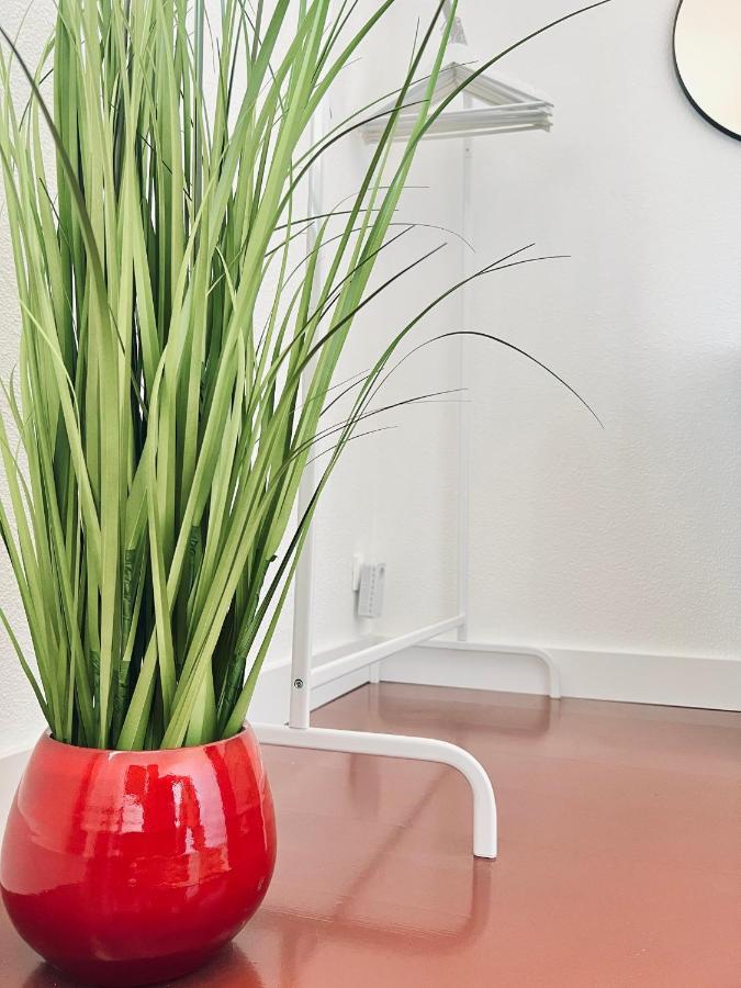 Lanton Plage - Appartement 6 Pers. Terrasse Εξωτερικό φωτογραφία